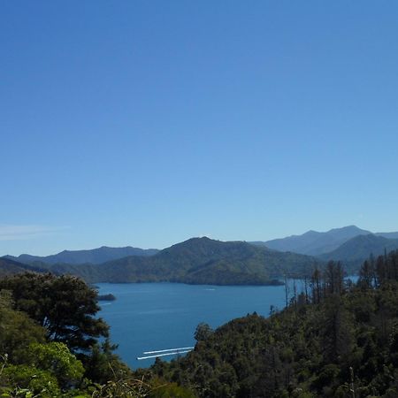Sequoia alojamiento Backpackers Picton Exterior foto