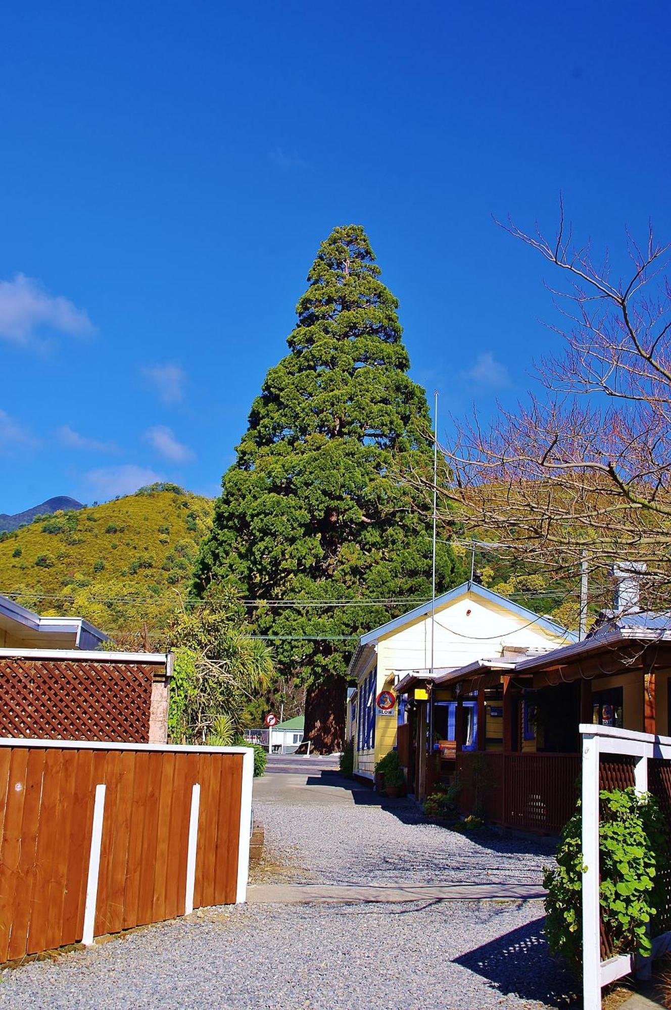 Sequoia alojamiento Backpackers Picton Exterior foto