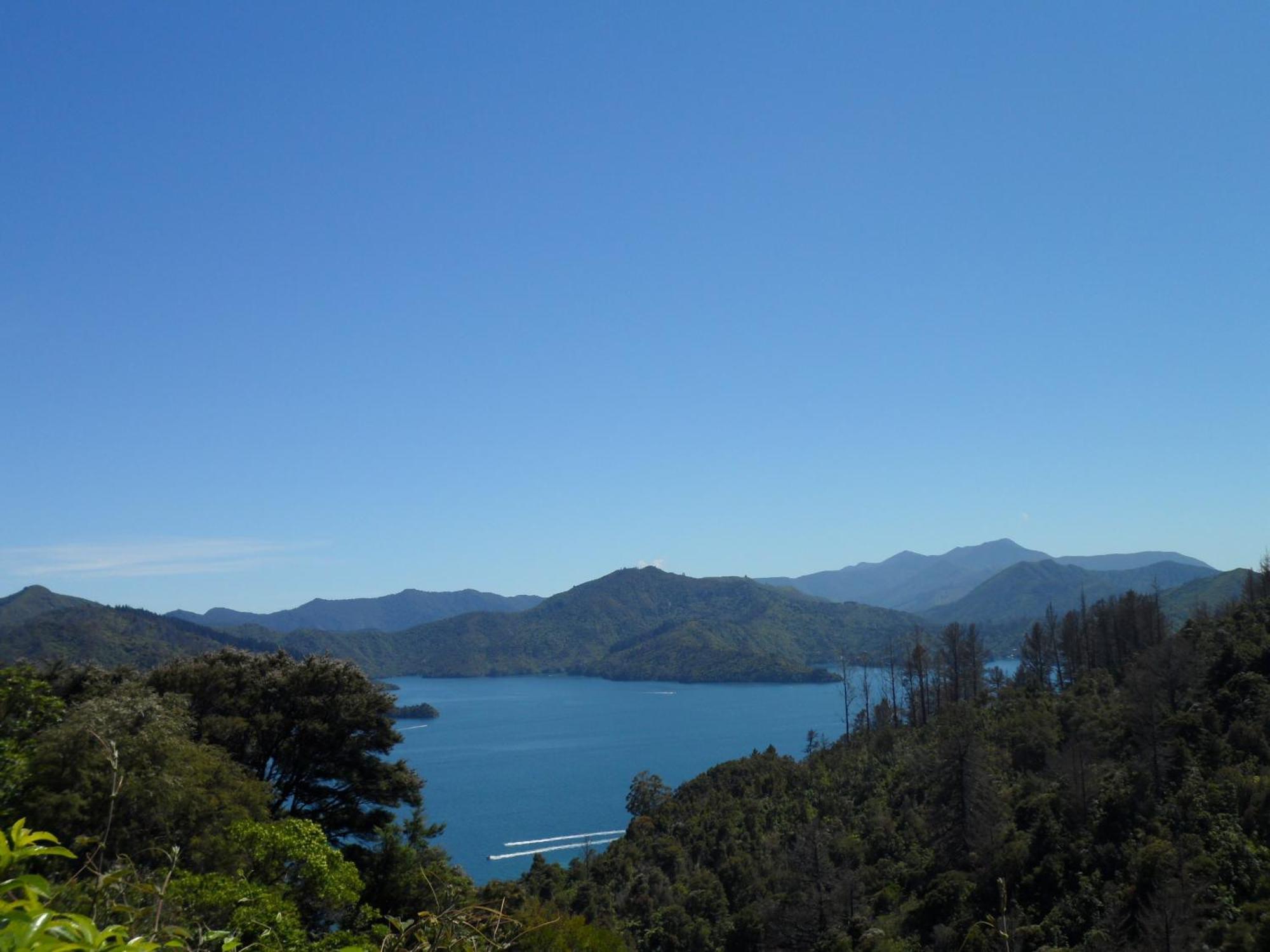 Sequoia alojamiento Backpackers Picton Exterior foto